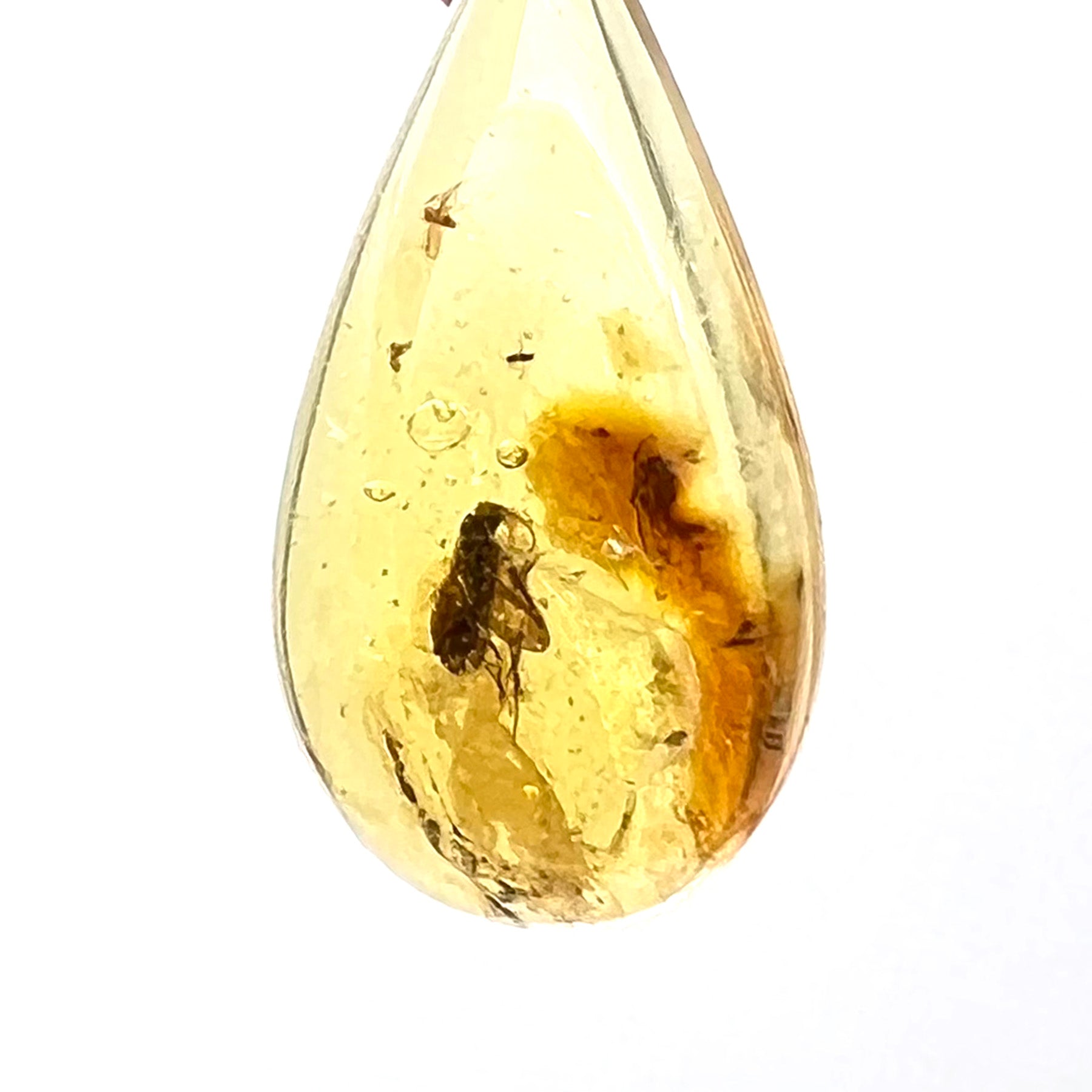 Amber pendant with inclusions "Dance"